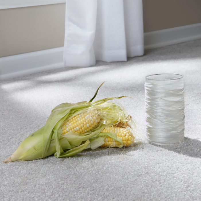 Corn used to make SmartStrand carpet fibers