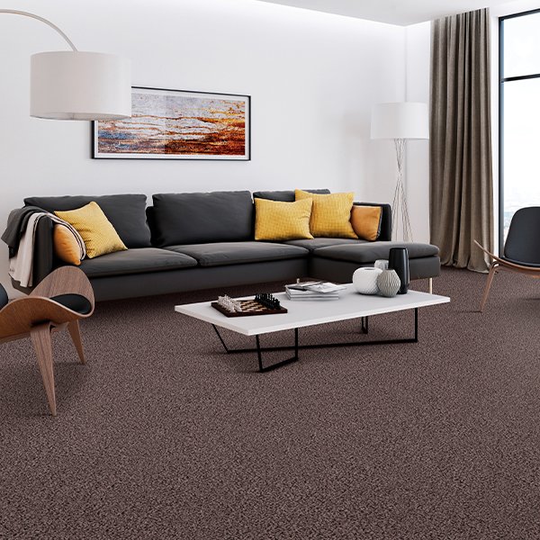 Find pet-friendly contemporary carpets